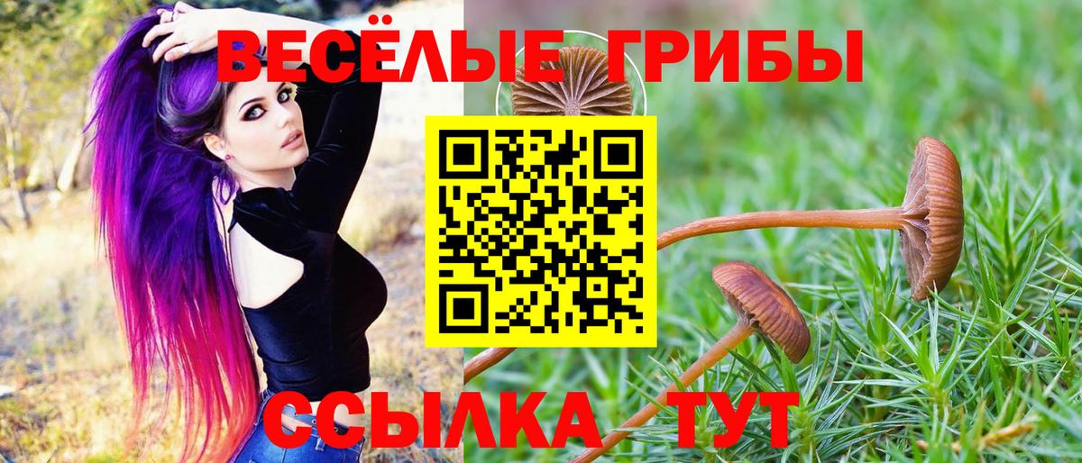 Галлюциногенные грибы MAGIC MUSHROOMS  магазин продажи   Звенигород  Вход с VPN 